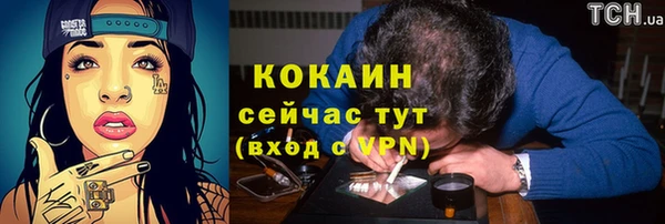 стафф Семикаракорск