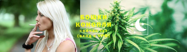 кокс Белокуриха