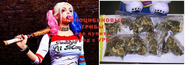 кокс Белокуриха