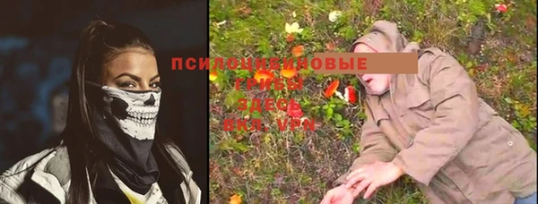 кокс Белокуриха