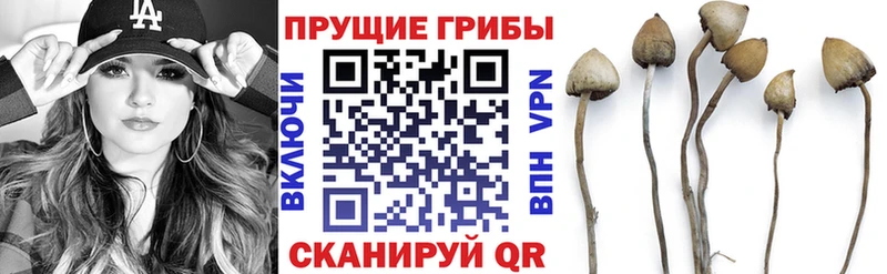 Галлюциногенные грибы прущие грибы  Верхний Тагил 